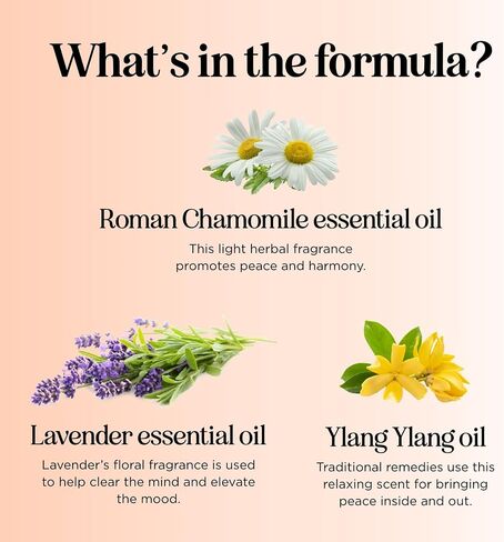 Relaxing Essential Oil Roll On - Aromatherapy Essential Oil Roller with Calming Essential Oils - Relaxing Essential Oil Blend with Lavender Ylang Ylang Chamomile & Geranium for Stress Support (2 Pack) in Kuwait
