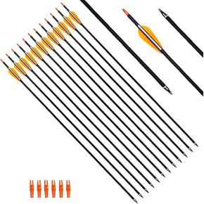 31.5Inch Carbon Arrow Targeting Practice Hunting Arrows Spine 400 for Compound & Recurve & English Long Bow with Removable Tips (Pack of 12)