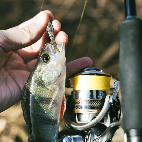 Goture Bass الصيد السحر، نابض بالحياة صوتها سويمبيت لباس سمك السلمون المرقط Walleye الكرابي بايك، بطيئة غرق جزء السباحة الطعم الصيد السحر للمياه العذبة والمياه المالحة، باس السحر مع صندوق معالجة in Kuwait