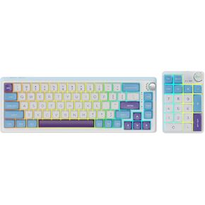 K68 Pro Gaming Keyboard, Layout Compact Wireless Mechanical Keyboard, Gasket Hot Swappable Custom BT 5.0/2.4G/USB-C Office Keyboard for Windows Mac (Purple-White, Eternity Tactile Switch)