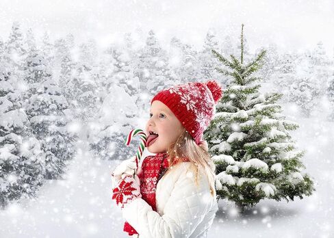 Winter Christmas Backdrop Natural Winter Forest Snowflake Snowfall Background Xmas White Snow Tree Photo Home Party Decoration Photo Studio Props 7x5FT in Saudi Arabia