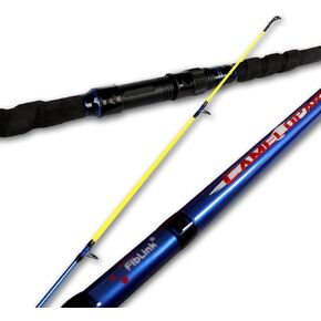 Fiblink Surf Spinning Fishing Rod 2-Piece & 3-Piece & 4-Piece Carbon Fiber Travel Fishing Rod with Noctilucent Tip