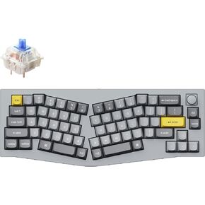 Keychron Q8 Wired Custom Mechanical Keyboard Knob Version, 65% Alice Layout QMK/VIA Programmable with Hot-swappable Gateron G Pro Blue Switch Double Gasket Compatible with Mac Windows Linux (Grey)