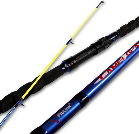 Fiblink Surf Spinning Fishing Rod 2-Piece & 3-Piece & 4-Piece Carbon Fiber Travel Fishing Rod with Noctilucent Tip in Saudi Arabia