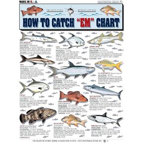 How to Catch 'Em Saltwater Fish Identification #1 - Waterproof Quick Reference Guide | Portable & Built to Last | Double-Sided & Easy to Read | (South Atlantic, Gulf of Mexico, Bahamas, and Caribbean)
