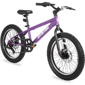 JOYSTAR 20 Inch Mountain Bike for Kids Ages 7-12 Year Old, 3-Inch Wide Knobby Tires, 7 Speed Shimano Drivetrain, Disc Brakes, Fat Tire Kids Bicycles for Boys Girls