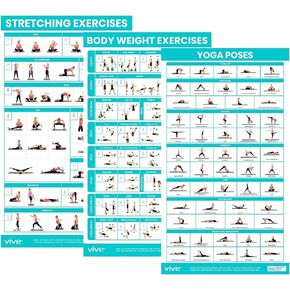 Vive Workout Posters (3 Pack) - Bodyweight, Yoga, Stretching Exercise Pack - Home Equipment Accessories Fitness Guide Chart Motivation Sequence for Women, Men, Kids - Laminated, Colored Illustrations