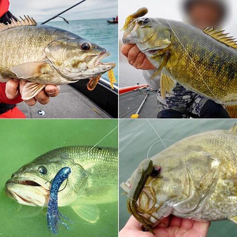 XFISHMAN-Tube-Jig-Heads-for-Bass-Fishing-Tube-Bait-Hooks 1/16oz 1/8oz 3/16oz 1/4oz (12-Pack) in Kuwait