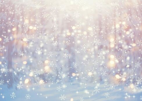 INRUI Polyester White Snowflakes Winter Backdrop Christmas Glitter Bokeh Wonderland Photography for Newborn Baby Christmas Holiday Party Decoration (7x5FT) in Saudi Arabia