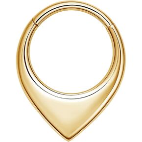 MissNity 16G Clicker Rings 316L Surgical Steel Hinged Hoops for Septum, Daith and Cartilage Earlobe Piercings Jewelry, Diameter 8mm, 10mm