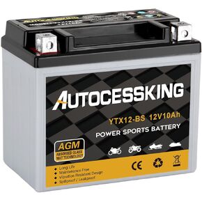 YTX30L-BS Motorcycle Battery, 12V 30AH Rechargeable Maintenance Free Sealed AGM Battery Powersport Replacement Battery for ATV and Scooter
