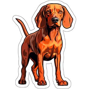 Redbone Coonhound Sticker Decal Vinyl Small Waterproof for Water Bottle Mug Passport Book Scrapbook Notebook Laptop Tumbler Skateboard Computer Phone Size Funny Gift Car Stickers ID44990