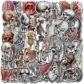 Pack 50 PCS Vintage Anatomy Stickers Aesthetic Human Skeleton Waterproof Sticker Vinyl Decals Patches Laptop Water Bottle Notebook Ephemera Scrapbooking Gifts for Kids Teens Adults