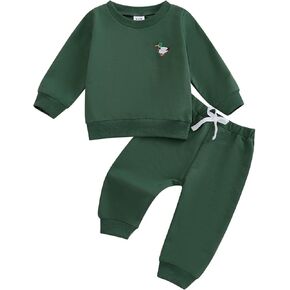Toddler Boys Fall Outfits Wild Duck Embroidery Long Sleeve Sweatshirts and Long Pants 2Pcs Clothes Set