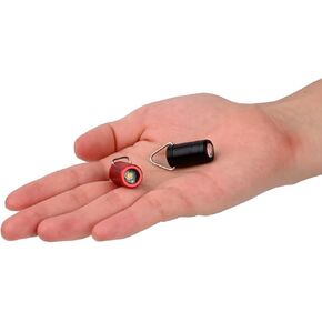 Mini Keychain Flashlight, The Smallest Micro Small Tiny Led Flashlight Only 0.9in Long, EDC Ultra Bright Key Ring Led Light Torch,2 PCS.(Red and Black)，Batter Include