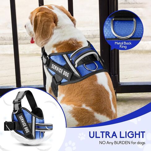 Service Dog Vest Harness and Leash Set, Animire in Training Dog Harness with 10 Dog Patches, Reflective Dog Leash with Soft Padded Handle for Small, Medium, Large, and Extra-Large Dogs (RED,S) in Kuwait