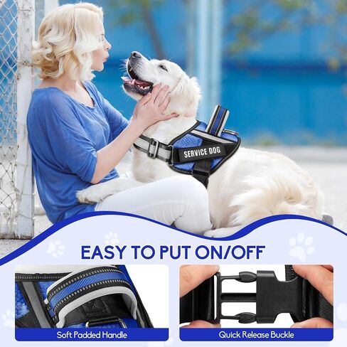 Service Dog Vest Harness and Leash Set, Animire in Training Dog Harness with 10 Dog Patches, Reflective Dog Leash with Soft Padded Handle for Small, Medium, Large, and Extra-Large Dogs (RED,S) in Kuwait