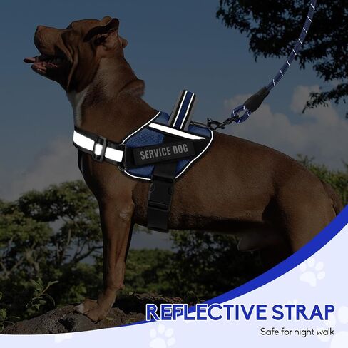 Service Dog Vest Harness and Leash Set, Animire in Training Dog Harness with 10 Dog Patches, Reflective Dog Leash with Soft Padded Handle for Small, Medium, Large, and Extra-Large Dogs (RED,S) in Kuwait
