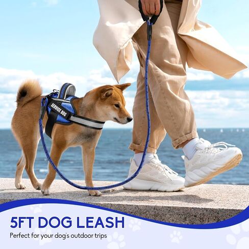 Service Dog Vest Harness and Leash Set, Animire in Training Dog Harness with 10 Dog Patches, Reflective Dog Leash with Soft Padded Handle for Small, Medium, Large, and Extra-Large Dogs (RED,S) in Kuwait