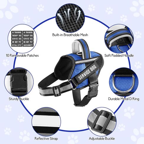Service Dog Vest Harness and Leash Set, Animire in Training Dog Harness with 10 Dog Patches, Reflective Dog Leash with Soft Padded Handle for Small, Medium, Large, and Extra-Large Dogs (RED,S) in Kuwait