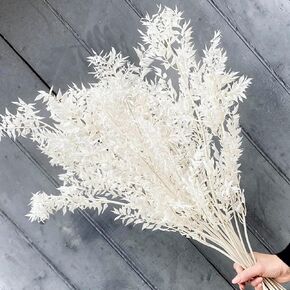 10PCS Dried Eucalyptus White Italian Ruscus - 17" Real Preserved Eucalyptus Stem Branches, Natural White Dried Flower Plants Greenery Bunch for Boho Wedding Party, Home Decor, Vase Filler