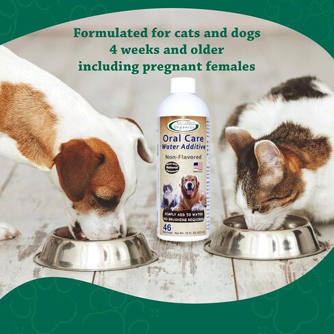 Mad About Organics Daily Oral Liquid Solution Fresh Mint 32oz in Kuwait