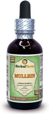 Herbal Terra LLC Mullein (Verbascum Densiflorum) جليسيريت، مستخلص سائل خالٍ من الكحول من الزهور المجففة العضوية، 2 أونصة in Saudi Arabia