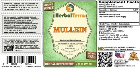 Herbal Terra LLC Mullein (Verbascum Densiflorum) جليسيريت، مستخلص سائل خالٍ من الكحول من الزهور المجففة العضوية، 2 أونصة in Saudi Arabia