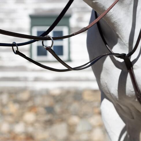 Equinavia Valkyrie Fancy Stitched Leather Running Martingale in Saudi Arabia