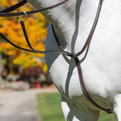 Equinavia Valkyrie Fancy Stitched Leather Running Martingale in Saudi Arabia