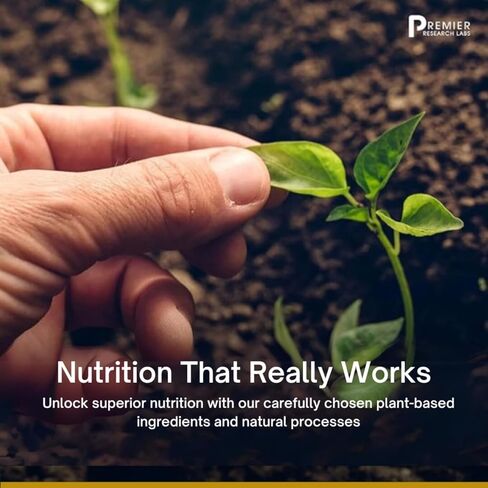 حبيبات الليسيثين من Premier Research Labs - مكمل لدعم الأعصاب* - مصدر جيد للكولين - دعم الدماغ والأعصاب - بدون إضافات أو مواد مالئة - يمتزج جيدًا في العصائر أو الأطعمة - 10 أونصة in Kuwait