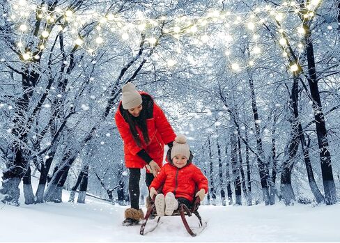 CYLYH 7X5FT Christmas Backdrops Winter Snow Backdrop Winter Forest Background Christmas Party Decoration D800 in Saudi Arabia