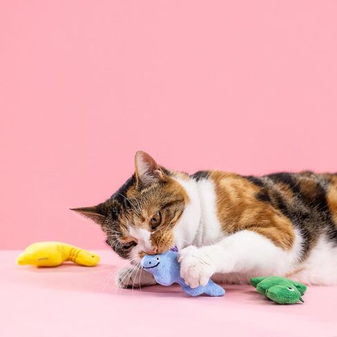 Fringe Studio Plush Cat Toy, Clownin' Around Kicker, Pet Shop Collection (693009) in Saudi Arabia