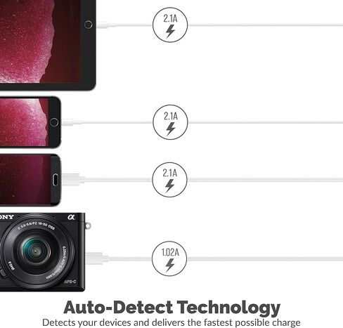 SABRENT 60 وات (12 أمبير) 10 منافذ [معتمد من UL] شاحن USB سريع لسطح المكتب بحجم عائلي. منافذ USB ذكية مع تقنية الكشف التلقائي [أسود] (AX-TPCS) in Kuwait