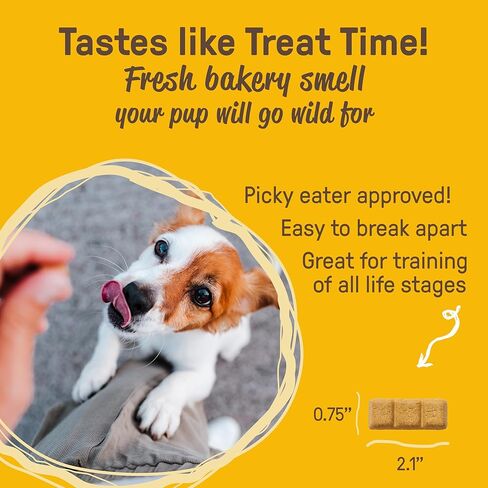 كوكي بال، حلوى الشيا واليقطين العضوية للكلاب، 10 أونصة in Kuwait