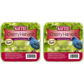 Kaytee Positively Peanut High Energy Mini Suet 11 Ounces