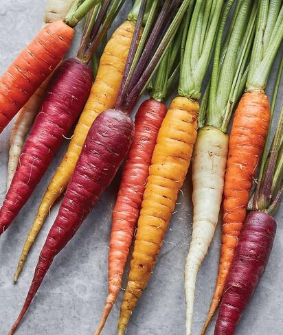 Burpee Kaleidoscope Blend Carrot Seeds | 1500 Non-GMO Seeds | Rainbow Carrot Seeds for Planting | Vegetable Seeds for Planting Home Garden | Five Colors: Red, Orange, Purple, White, and Yellow in Saudi Arabia