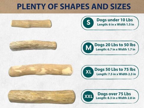 Coffee Wood Dog Chew Stick - Coffee Wood Stick for Your Pets - Non Toxic - Safe - Puppy Chew Toy for Teething - Made in Vietnam - 1 Pack/2 Pieces (Medium) in Kuwait