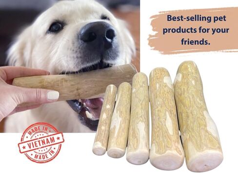 Coffee Wood Dog Chew Stick - Coffee Wood Stick for Your Pets - Non Toxic - Safe - Puppy Chew Toy for Teething - Made in Vietnam - 1 Pack/2 Pieces (Medium) in Kuwait