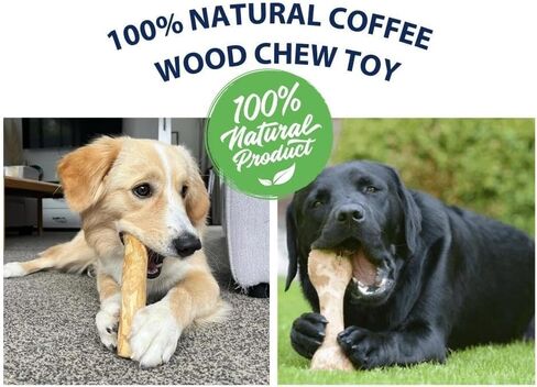 Coffee Wood Dog Chew Stick - Coffee Wood Stick for Your Pets - Non Toxic - Safe - Puppy Chew Toy for Teething - Made in Vietnam - 1 Pack/2 Pieces (Medium) in Kuwait
