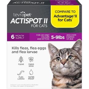 TevraPet Actispot II Flea Treatment for Small and Medium Cats 5-9 lbs | 6 Doses | Powerful Prevention and Control, Clear