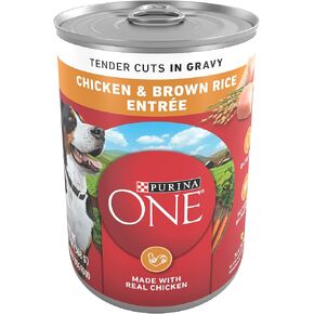 Purina ONE Tender Cuts in Wet Dog Food Gravy Chicken and Brown Rice Entree - (Pack of 12) 13 oz. Cans