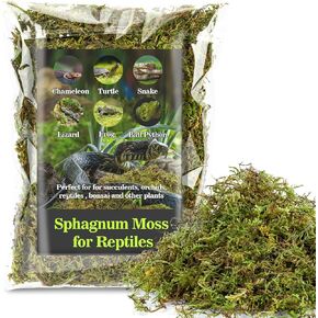 Sukh Sphagnum Moss for Reptiles - Terrarium Reptiles Moss Green Dried Peat Moss Habitat Bedding Moss for Snakes Turtle Frog Gecko and Other Reptiles Substrate (3, Ounces)