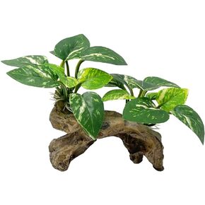 Smoothedo-Pets Fish Tank Decorations Aquarium Decor Ornaments Betta Silk Leaf pad Hammock Artifical Driftwood cave Goldfish Bowl Accessories (Type-C)