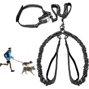 Hands Free Dog Leash, Double Dog Leash, Waist Dog Running Leash for Comfortable Walking Jogging Training Hiking, Long Padded No Tangle 360° Swivel Clasp Adjustable Dual Dog Lead Leashes