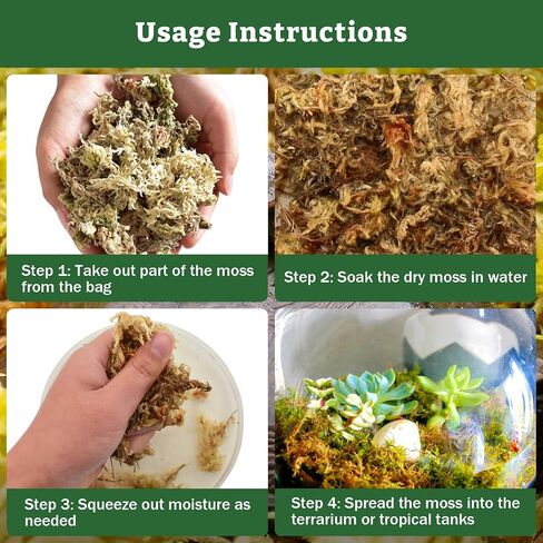 Riare 5.3OZ Premium Sphagnum Moss for Reptiles- 6QT Natural Reptile Moss Dried, Forest Live Moss for Terrarium, Frogs Snake Peat Moss Bedding for Leopard Gecko Turtle Anoles Salamanders Orchids Plants in Kuwait