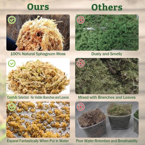 Riare 5.3OZ Premium Sphagnum Moss for Reptiles- 6QT Natural Reptile Moss Dried, Forest Live Moss for Terrarium, Frogs Snake Peat Moss Bedding for Leopard Gecko Turtle Anoles Salamanders Orchids Plants in Kuwait