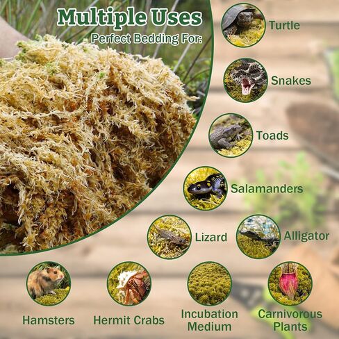 Riare 5.3OZ Premium Sphagnum Moss for Reptiles- 6QT Natural Reptile Moss Dried, Forest Live Moss for Terrarium, Frogs Snake Peat Moss Bedding for Leopard Gecko Turtle Anoles Salamanders Orchids Plants in Kuwait