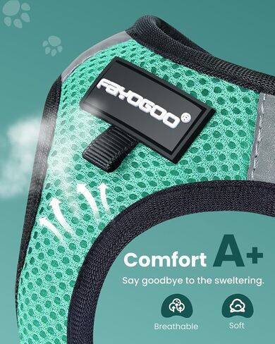 FAYOGOO Cat Harness and Leash Set | Upgrade Step-in Escape Proof Harness | Lightweight Soft Vest, No-Choke Design for Walking, Travel, Camping (Green) in Saudi Arabia