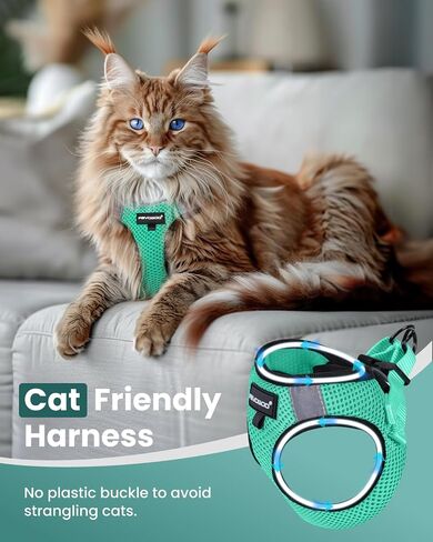FAYOGOO Cat Harness and Leash Set | Upgrade Step-in Escape Proof Harness | Lightweight Soft Vest, No-Choke Design for Walking, Travel, Camping (Green) in Saudi Arabia